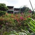 grenada scuba resort